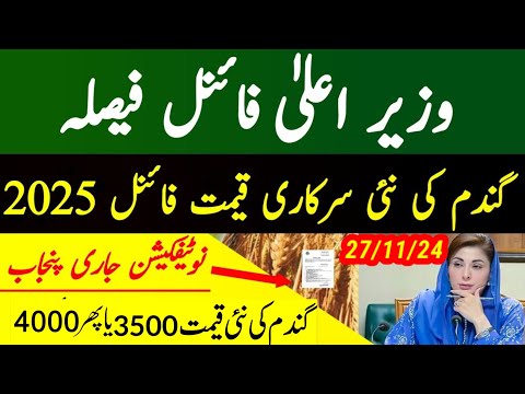 munji kaynat 1121rate 2024/munji 1509 new rate /today gundam rate/مونجی کا ریٹ کائنات