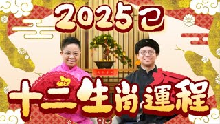 2025 生肖運程 | 2025蛇年十二生肖運程 逐一預測 | 犯太歲、桃花運、財運【中文字幕】寶善老師 潘小文