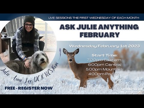 Ask Julie Anything - February 2023 - Adored Beast Apothecary