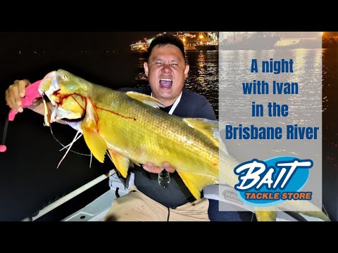 Epic Night Chasing Threadfin Salmon and Jewfish in the Brisbane River