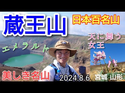 蔵王山  天に舞う女王 コマクサ