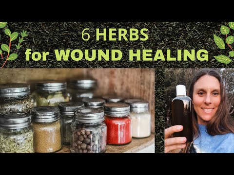 6 Herbs for Wound Healing - Vulnerary Herbs