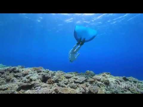 素潜りで泳ぐサンゴ礁！スズメダイとキンギョハナダイが綺麗！（2019年8月3日沖縄本島アポガマ）