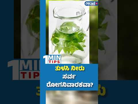 Tulsi Water Health Benefits| ತುಳಸಿ ನೀರು ಸರ್ವರೋಗ ನಿವಾರಕವಾ? | Vishwavani TV Special