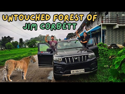 Tiger ne lagai DAHAAD | Jim Corbett ka ye FOREST aapne kabhi nahi dekha hoga