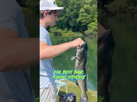 Ultimate Bank Fishing Strategy For CATFISH!! #shorts #fishing