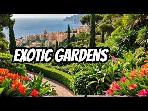 Exotic Gardens Of Monaco Are Unreal!