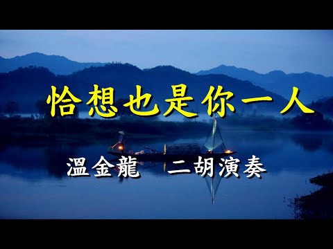 恰想也是你一人          二胡演奏  溫金龍                        【懷念老歌輕音樂系列】