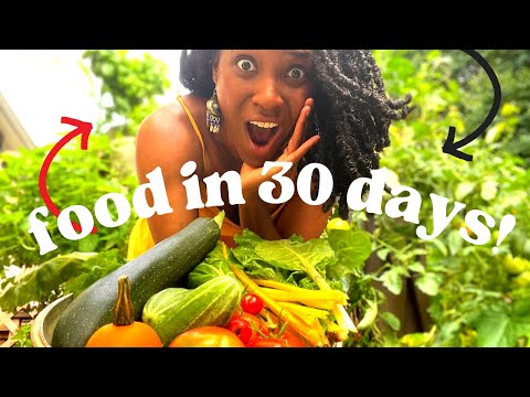 Meet a DECK Gardener Growing POUNDS of Food EVERY WEEK | Ways to Grow Food Fast in a Small Space