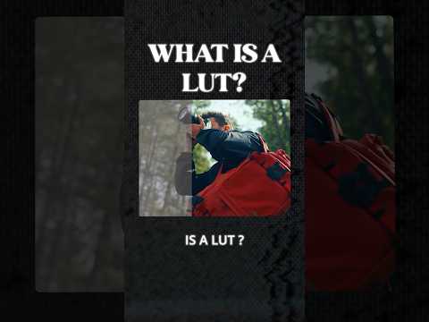 What Is A LUT?