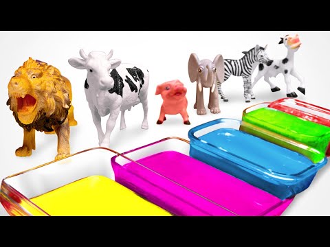 Learn Farm Animal Names | Bathing Colors Fun | Video for Babies, Preschool Toddlers & Kids