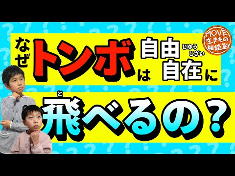 【#トンボ はなぜ #ホバリング できるの？】トンボの飛び方の仕組みを専門家が解説！