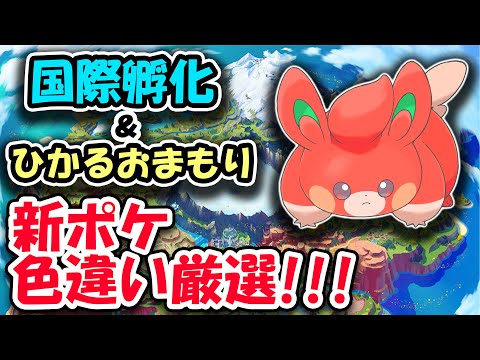 【ポケモンSV】新ポケ色違い厳選をする男【国際孵化、ひかるおまもり】