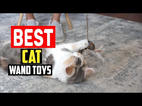 ✅Top 5 Best Cat Wand Toys in 2025