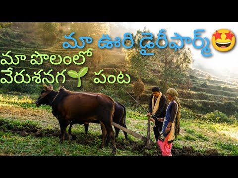 అందమైన పల్లెటూరు 🌱🌾వాతావరణం ♥️#naturephotography #village #farmers #villagelifestyle #love #nature