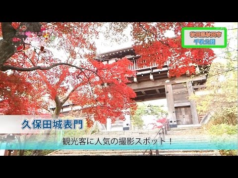 千秋公園の見どころを地元のガイドさんに聞く！