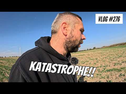 Vlog #276 Rapeseed disaster! Do I have to break it down?