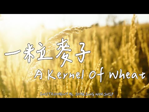 A Kernel Of Wheat | Soaking Music | Piano Music | Prayer Music | 1 HOUR Instrumental Soaking Worship