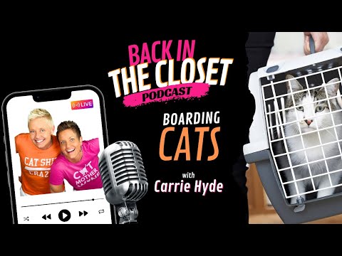 Boarding Cats | Back In The Closet