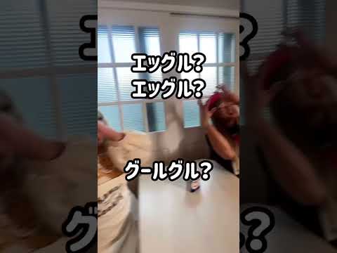 家庭版エッグルを食べてみた感想！ #shorts  #PR