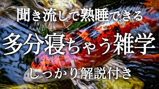 【睡眠導入】良質睡眠の深い雑学【リラックス】多分寝ちゃう雑学