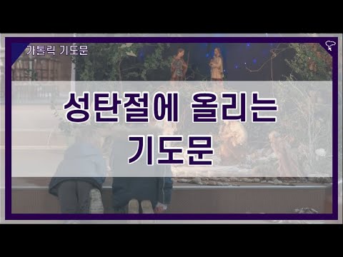 [가톨릭 기도문] 성탄절에 올리는 기도 (남자성우)