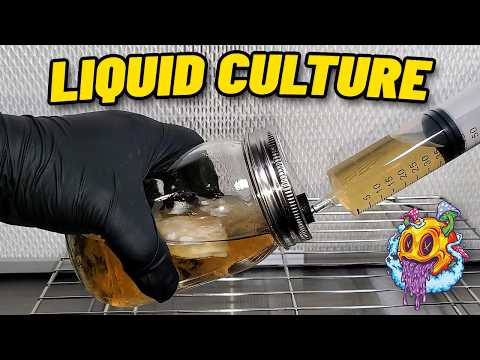 Turn 1 Syringe Into 30!!! - North Spore Liquid Culture Kit