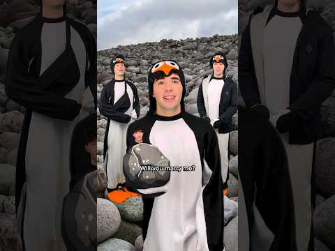 Penguin proposal #shorts