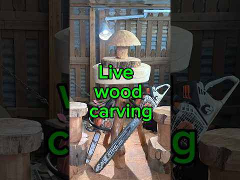 Wood carving￼ live #woodart #chainsaw #woodworking #skullart