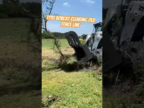 Bobcat T770 clearing fence line #shortsvideo #bobcat #farm