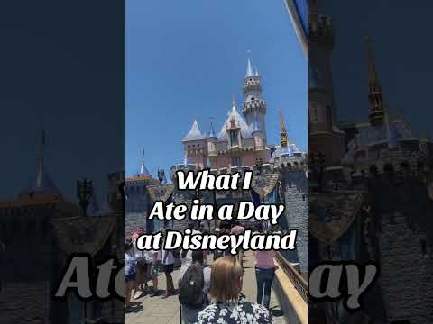 Disneyland food is such a rip off 😅#disneyland #whatiateinaday #churros #disney #funnyvideos