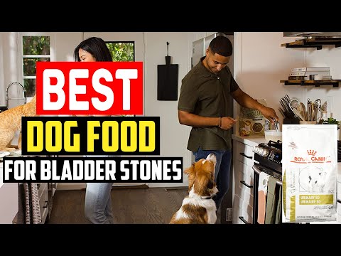 ✅Top 5 Best Dog Food For Bladder Stones in 2023