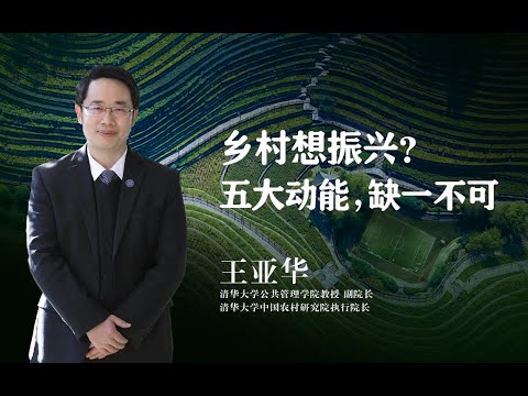 【清华大学】清华教授：乡村想振兴？这五种力量，一个也不能少