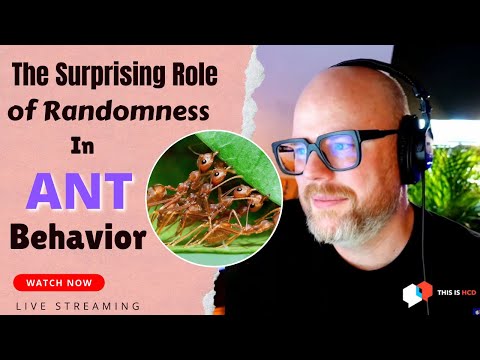 The Surprising Role of Randomness in Ant Behavior | The difference in humans and ants | #biology