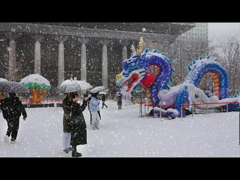 Snowfall SEOUL Snow(Lights) Festival, Heavy Snow Seoul, Snow Asmr Ambience, Seoul Travel Walker.