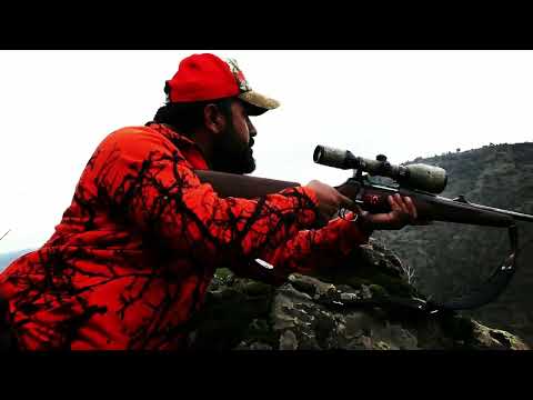 FULL ACTION WILD BOAR HUNTING | DOMUZ AVI !