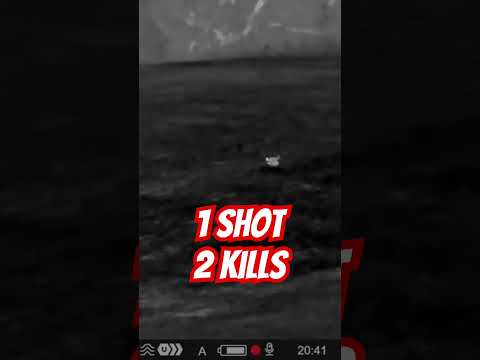 1 Shot 2 Kills #hunting #ozziereviews #shooting #firearms #gun #gaming #22lr #22wmr #rabbit #rabbits