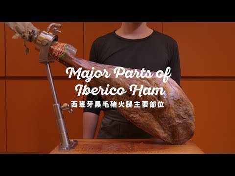 【西班牙黑毛豬火腿主要部位 The Major Parts of Iberico Ham】