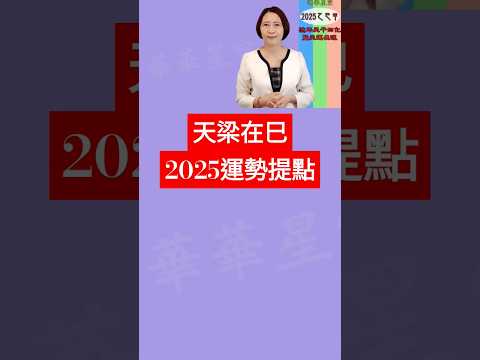 #天梁在己 #2025運勢提點【2025乙巳年天運啟示錄暨流年命宮在巳12組命盤運】 #2025流年運勢 #2025流年四化 #2025 #2025紫微流年運勢 #chinese astrology