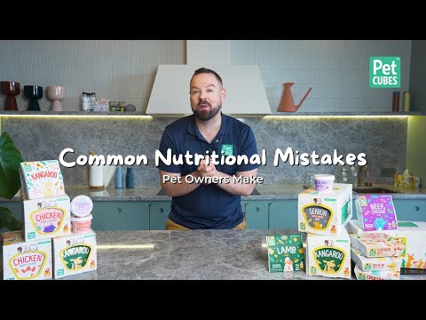 Common Nutritional Mistakes Pet Owners Make | How To Feed Your Pet Better