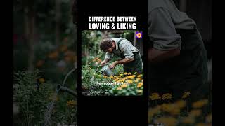 Discover the Beautiful Difference Between Love and Like