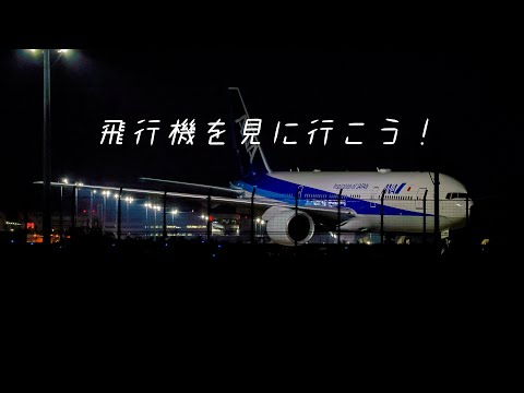 【飛行機を見に行こう】Let's go see the plane