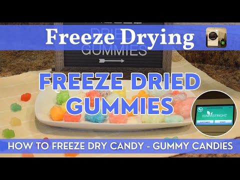 Freeze Dried Gummies | Harvest Right Freeze-Dried Candy | How to Freeze Dry Gummy Candy Step by Step