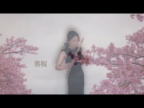 鈴木菜穂子『葵桜』Music Video