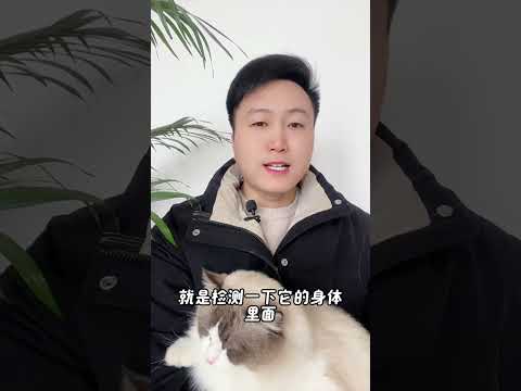 1分钟将会，猫猫狗狗是否携带狂犬病毒。 养猫经验分享 科学养宠攻略 养猫人 狂犬病毒检测卡 新手养猫