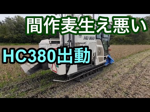 2024年10月3日　間作麦生え悪い　HC380出動