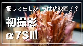 【SONY α7SIII 】撮って出しがまるで映画のような映像に