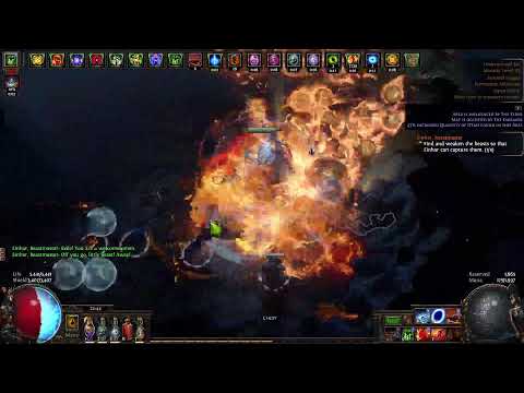 path of exile マッピング配信