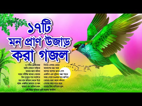 অশান্ত মন মন শান্ত করা গজল | ১৭টি মন প্রাণ উজাড় করা গজল | 17 Best Gojol | Bangla Gojol | New Gojol