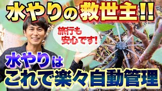 【感激！】水やりの救世主に出会いました！【ガーデニング】【園芸】